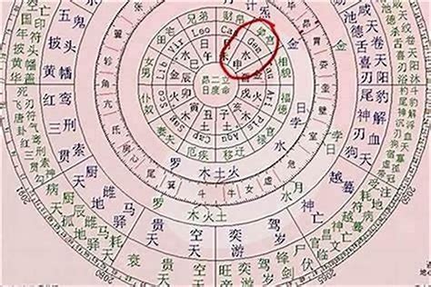 四柱算命|生辰八字算命